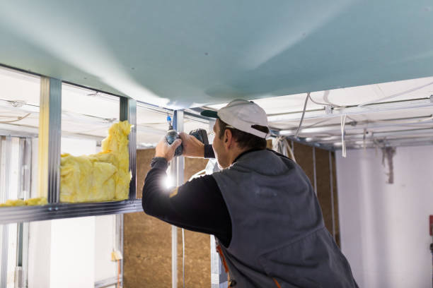 Best Residential Insulation in Ithaca, NY